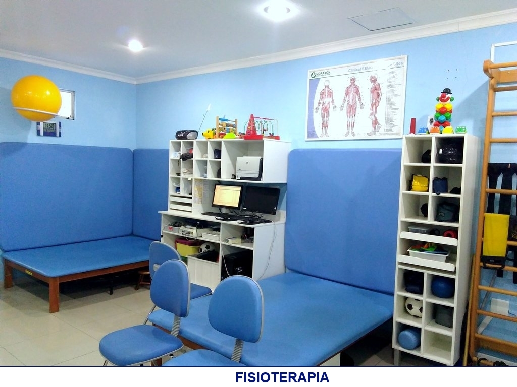 Fisioterapia